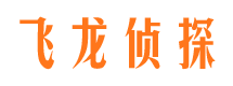 西林婚外情调查